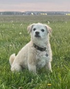 Baxter